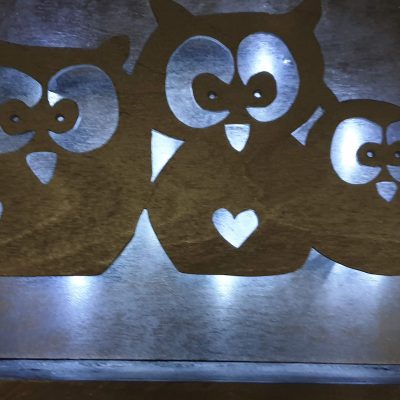 Owls